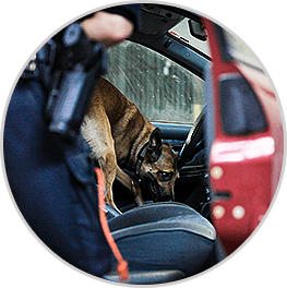 What Makes A Search Warrant Invalid Law Offices Of Jonathan Marshall What Makes A Search Warrant Invalid Law Offices Of Jonathan Marshall