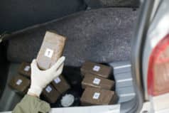 Person distributing drugs in NJ