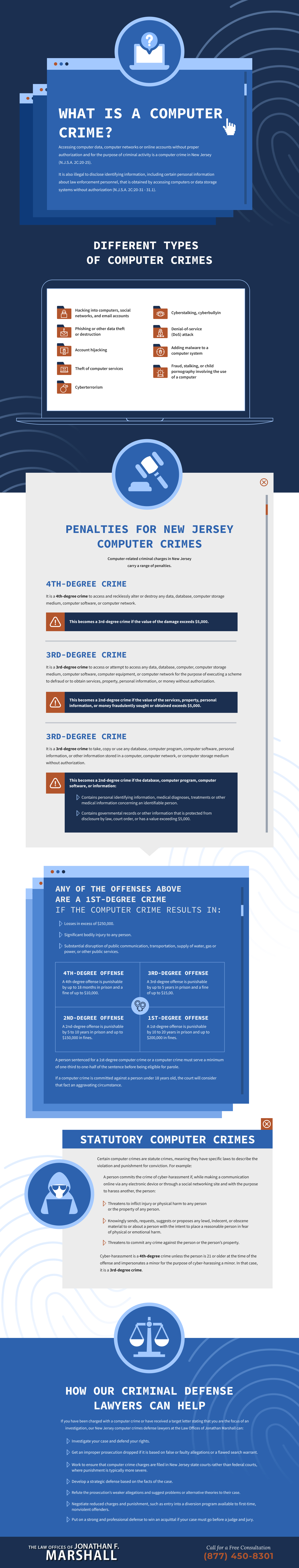 Computer Crimes Infographic