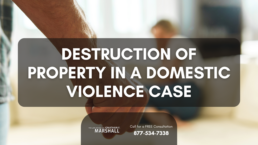 destruction of property in a domestic violence case