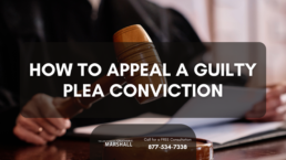how to appeal a guilty plea conviction