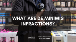 De Minimis Infractions