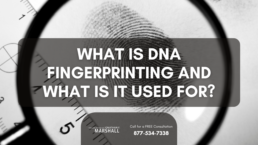 DNA fingerprinting