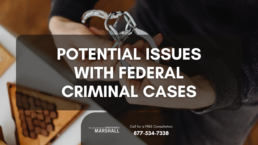 potential issues with federal criminal cases