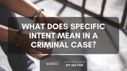 specific intent in a criminal case
